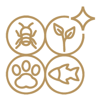 awaring-category